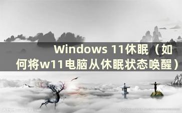 Windows 11休眠（如何将w11电脑从休眠状态唤醒）